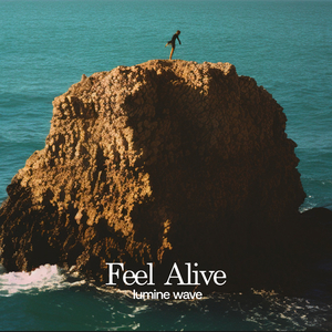 人与物videos另类
